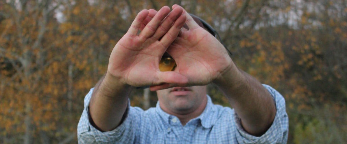 person holding up their hands into the shape of a triangle