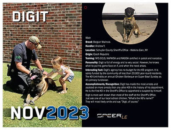 K-9 Calendar November Page