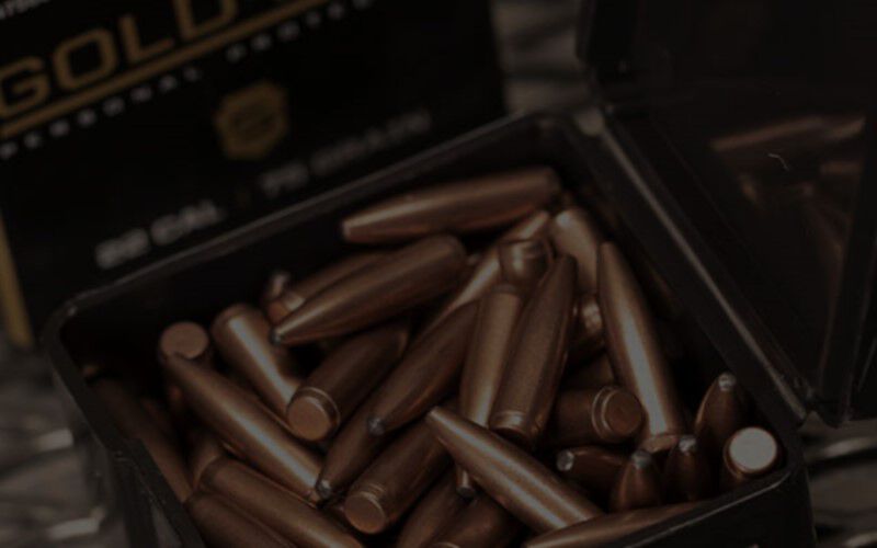 bullets in a reloader