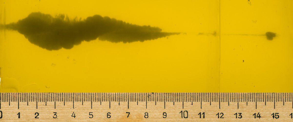 Speer Bullet penetration trail measured in gel