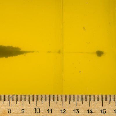 Speer Bullet penetration trail measured in gel