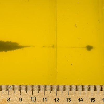 Speer Bullet penetration trail measured in gel