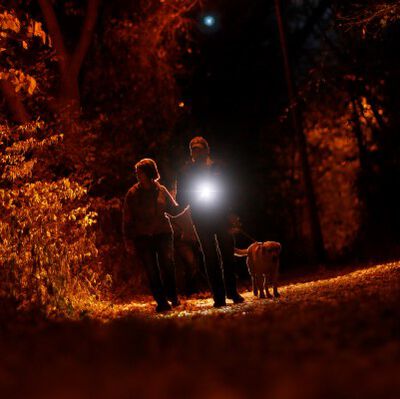 man and woman walking a dog at night
