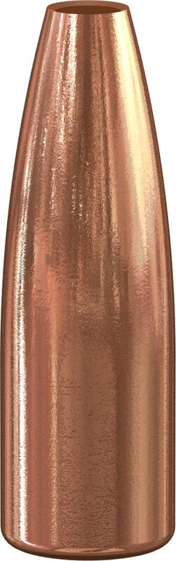 Varmint Hollow Point Bullet, .277, 100 Grain