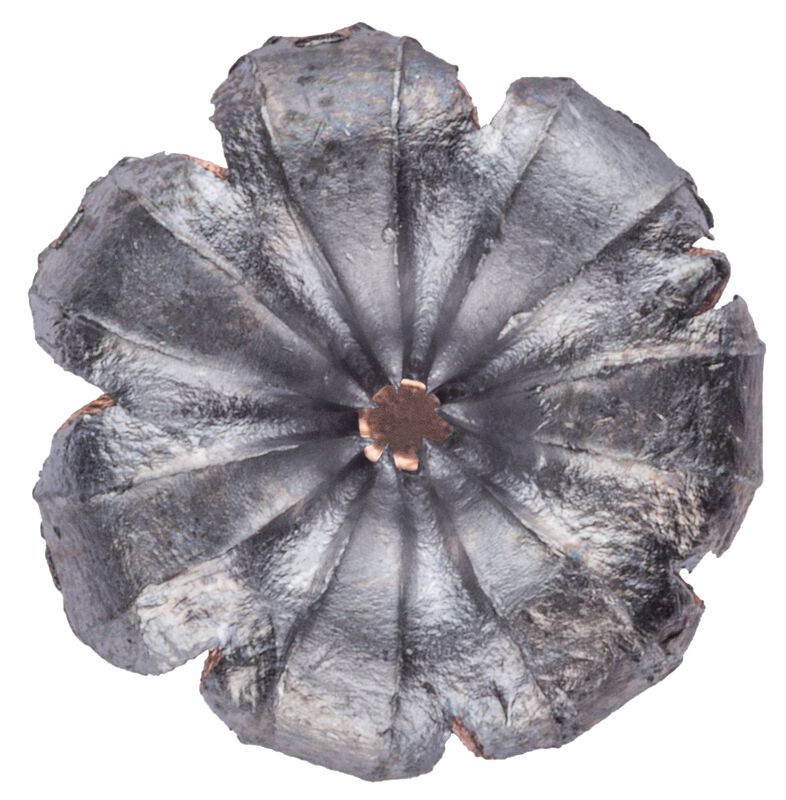 Gold Dot Short Barrel Personal Protection, 38 Special +P, 135 Grain, Gold Dot Hollow Point Short Barrel, 860 fps