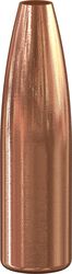 Varmint Hollow Point Bullet, .257, 100 Grain
