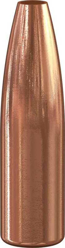 Varmint Hollow Point Bullet, .257, 100 Grain