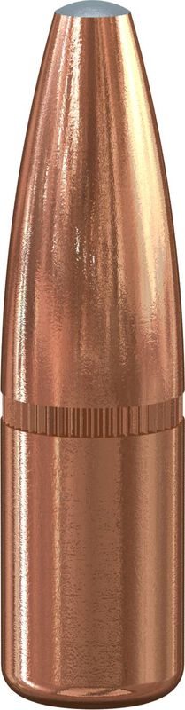Grand Slam Rifle Bullet, .308, 180 Grain