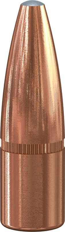 Grand Slam Rifle Bullet, .308, 165 Grain