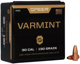 Varmint Hollow Point Bullet, .308, 130 Grain