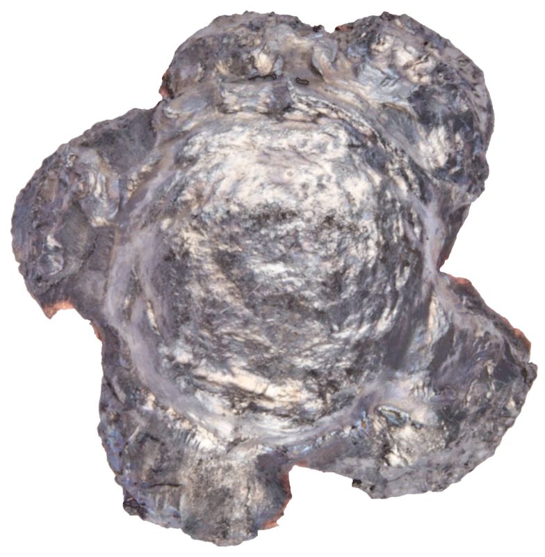 Gold Dot Rifle Personal Protection, 223 Rem, 62 Grain, Gold Dot Soft Point, 3000 fps