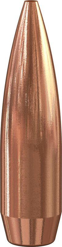 Target Match Rifle Bullet, .308, 168 Grain