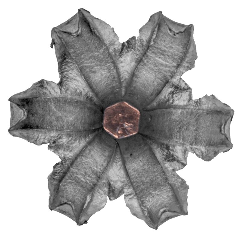 Gold Dot Handgun Personal Protection, 25 Auto, 35 Grain, Gold Dot Hollow Point, 900 fps