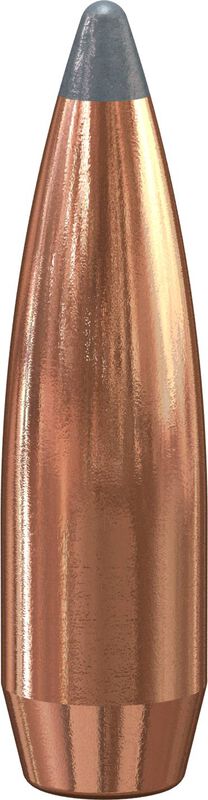 Boat-Tail Rifle Bullet, .308, 165 Grain