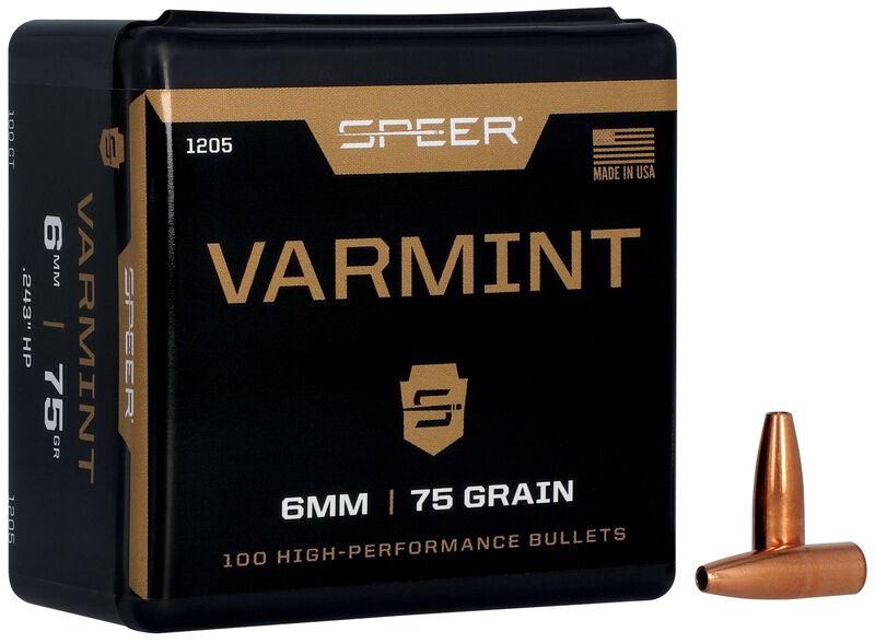 Varmint Hollow Point Bullet, .243, 75 Grain